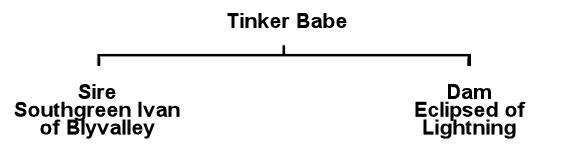 Tinker's Pedigree