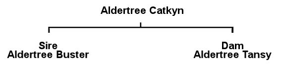 Kate's Pedigree