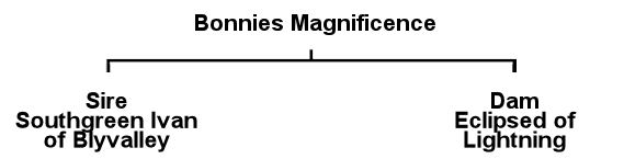 Taylor's Pedigree