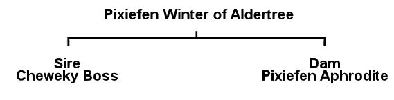 Harley's Pedigree